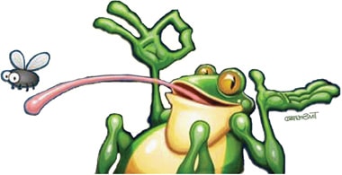 bugmacefrog